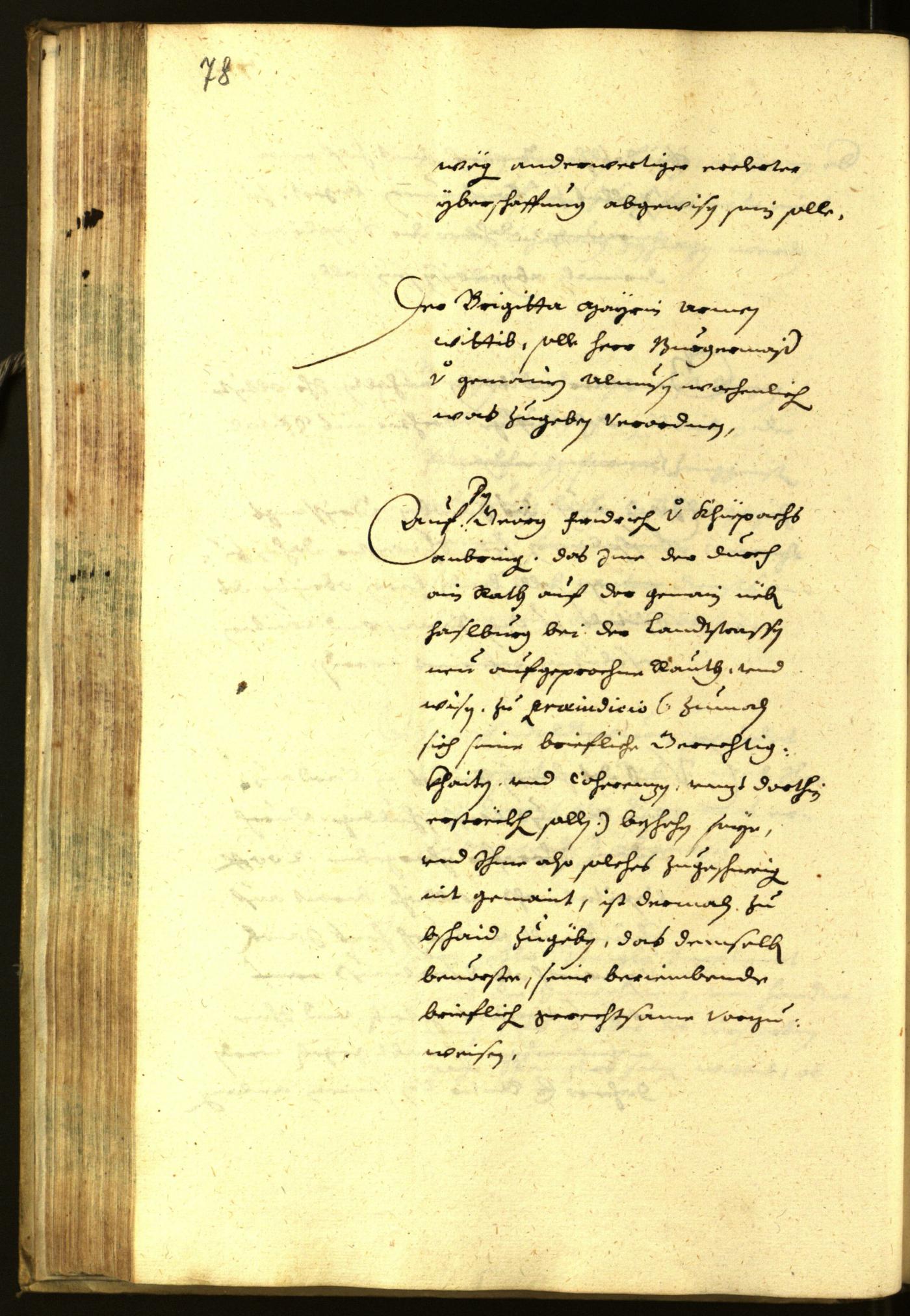 Stadtarchiv Bozen - BOhisto Ratsprotokoll 1645 