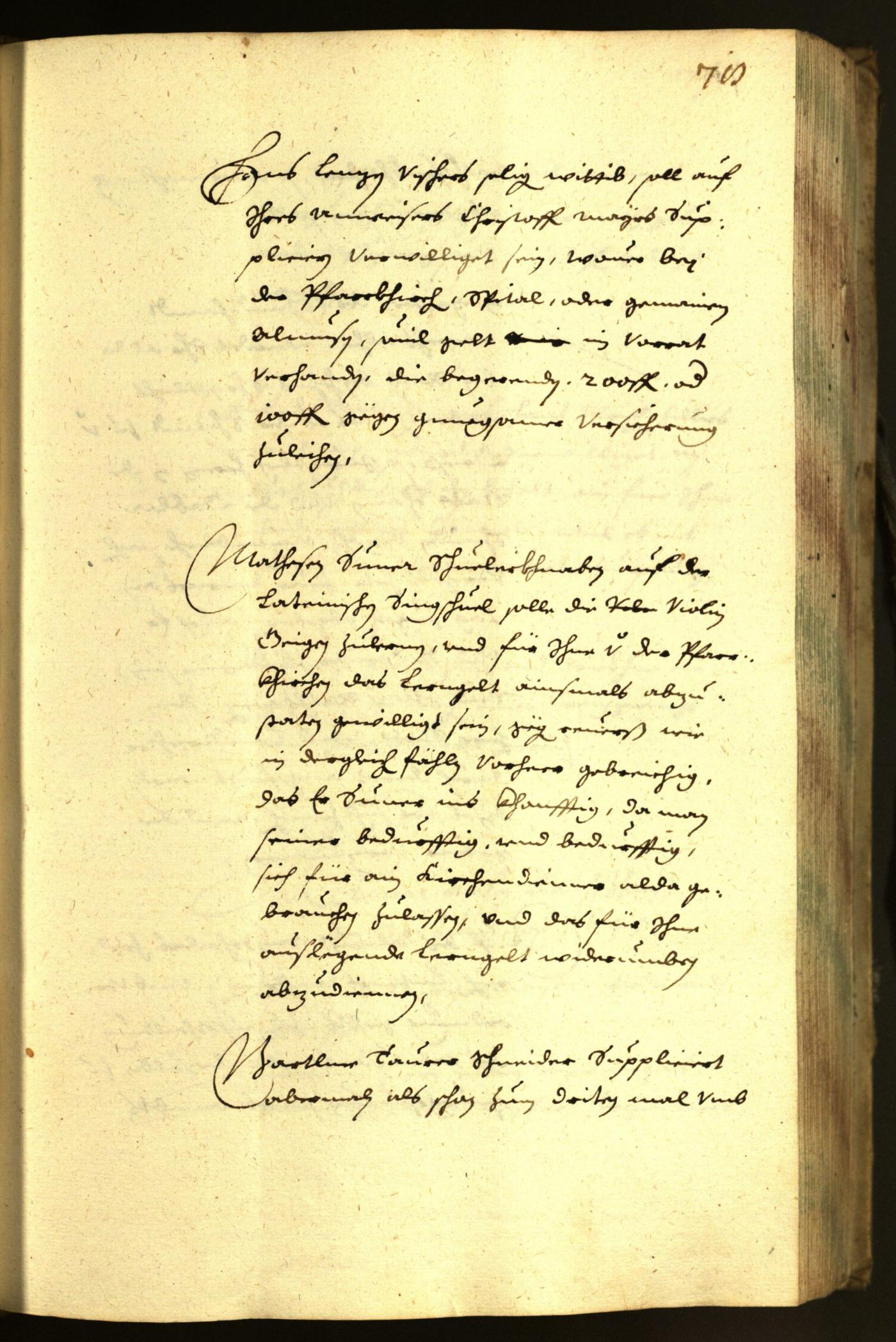 Civic Archives of Bozen-Bolzano - BOhisto Minutes of the council 1645 