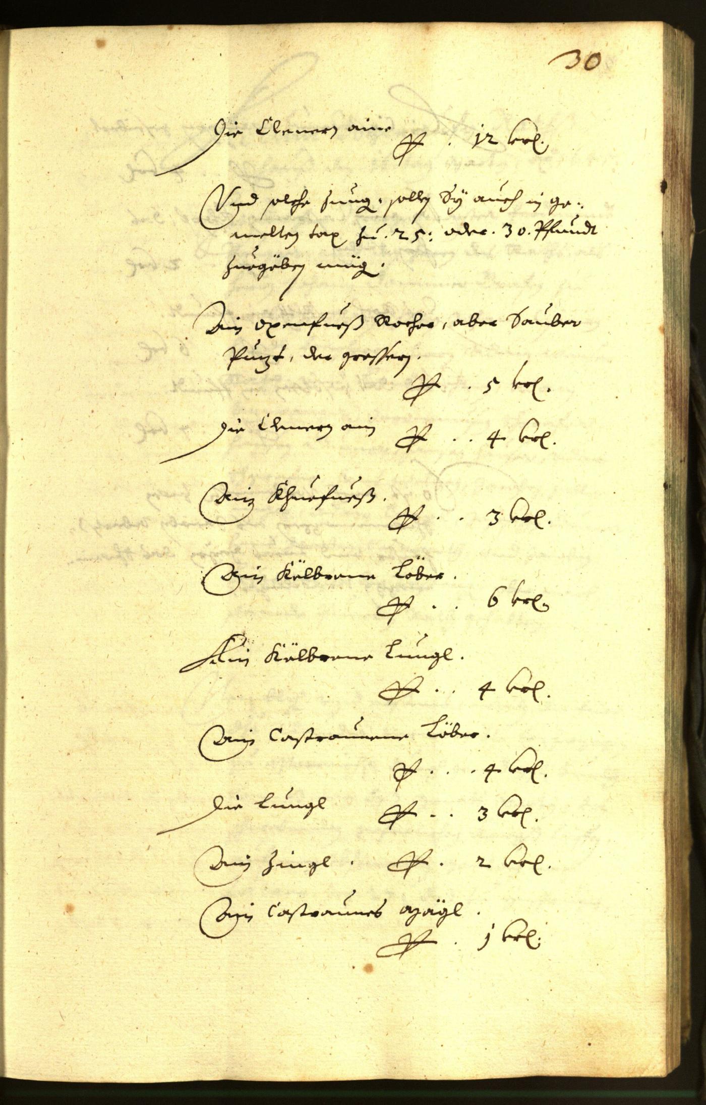 Civic Archives of Bozen-Bolzano - BOhisto Minutes of the council 1645 