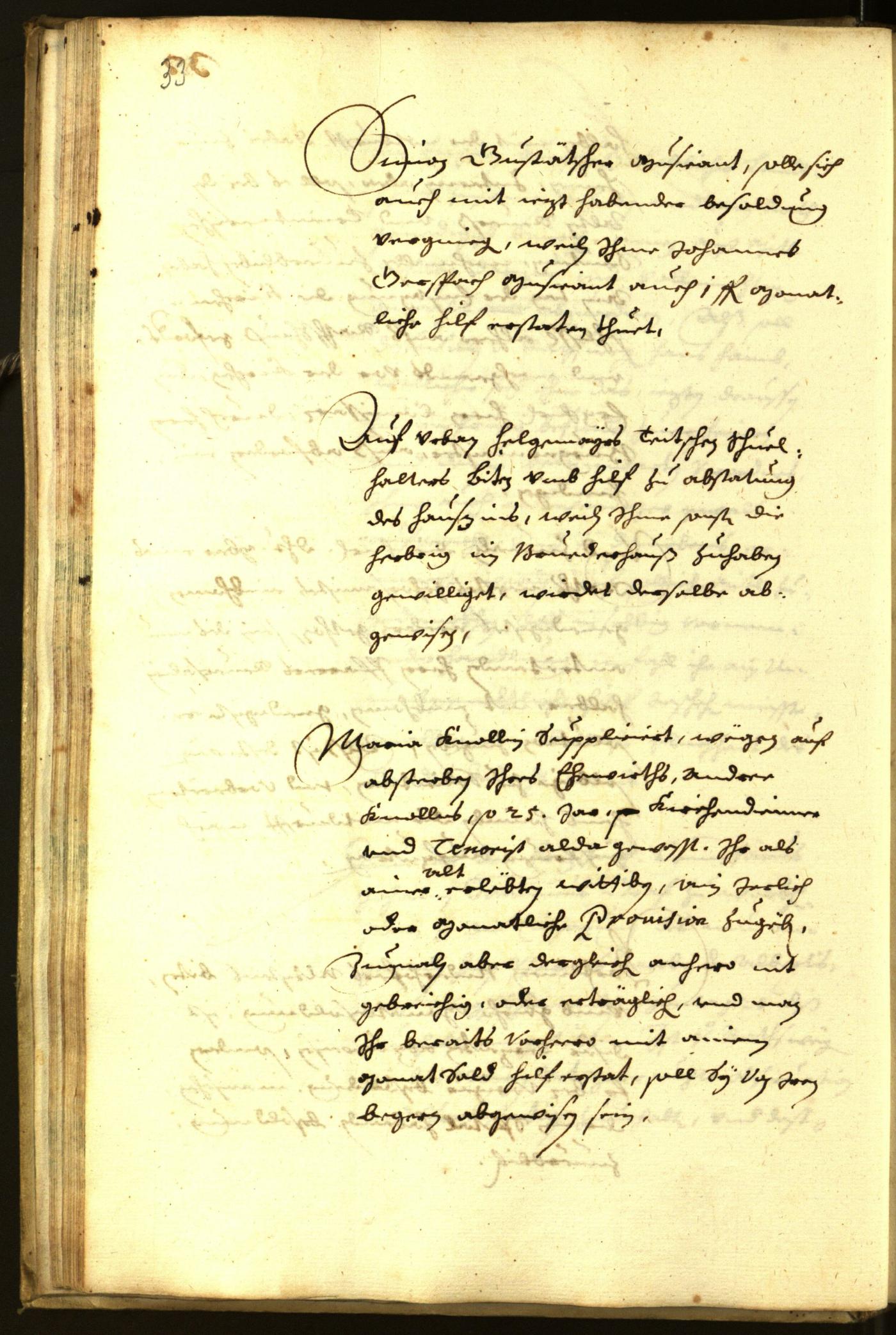 Civic Archives of Bozen-Bolzano - BOhisto Minutes of the council 1645 