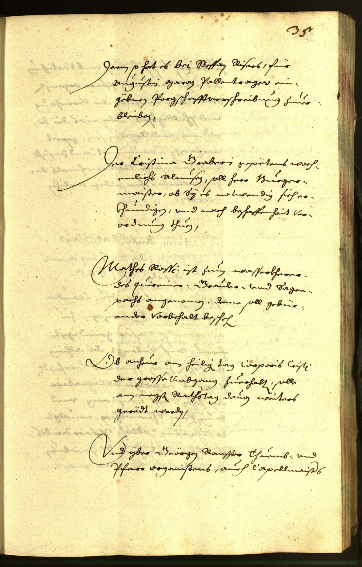 Civic Archives of Bozen-Bolzano - BOhisto Minutes of the council 1645 