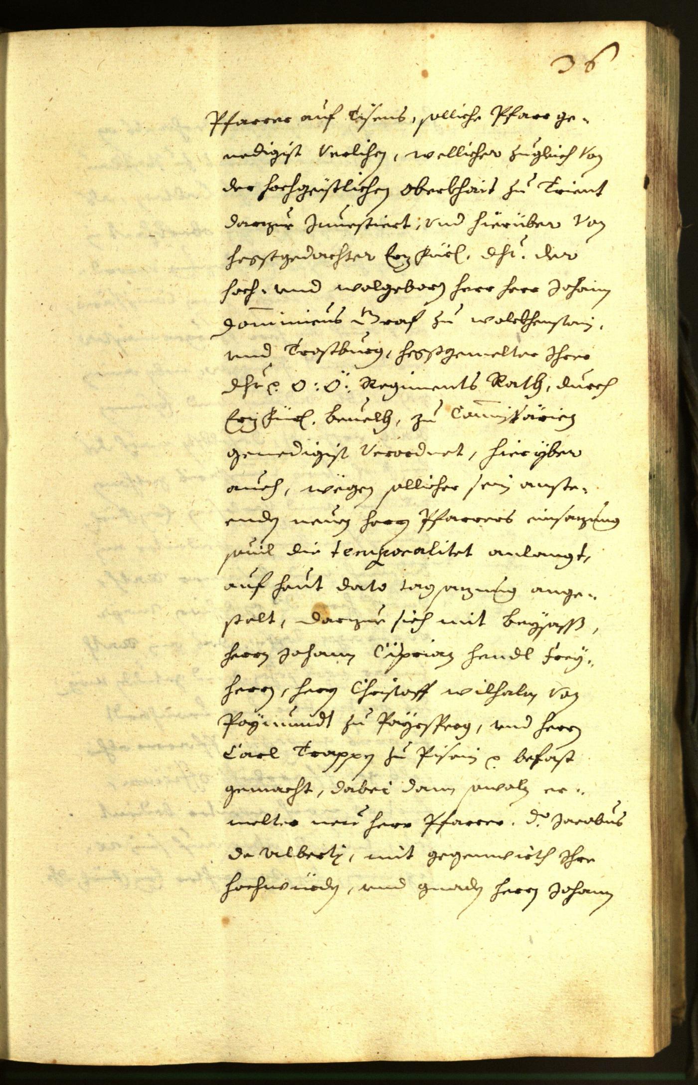 Civic Archives of Bozen-Bolzano - BOhisto Minutes of the council 1645 