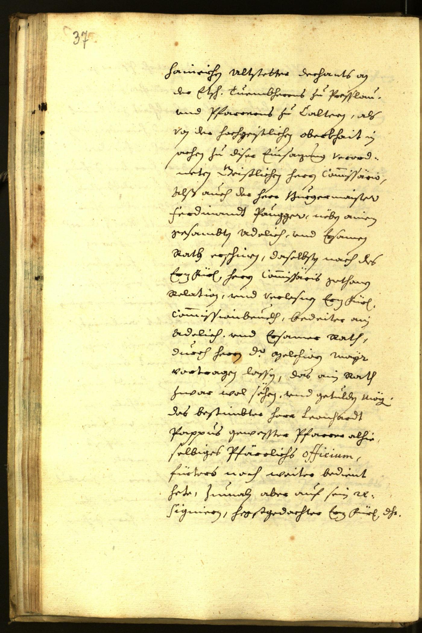 Stadtarchiv Bozen - BOhisto Ratsprotokoll 1645 