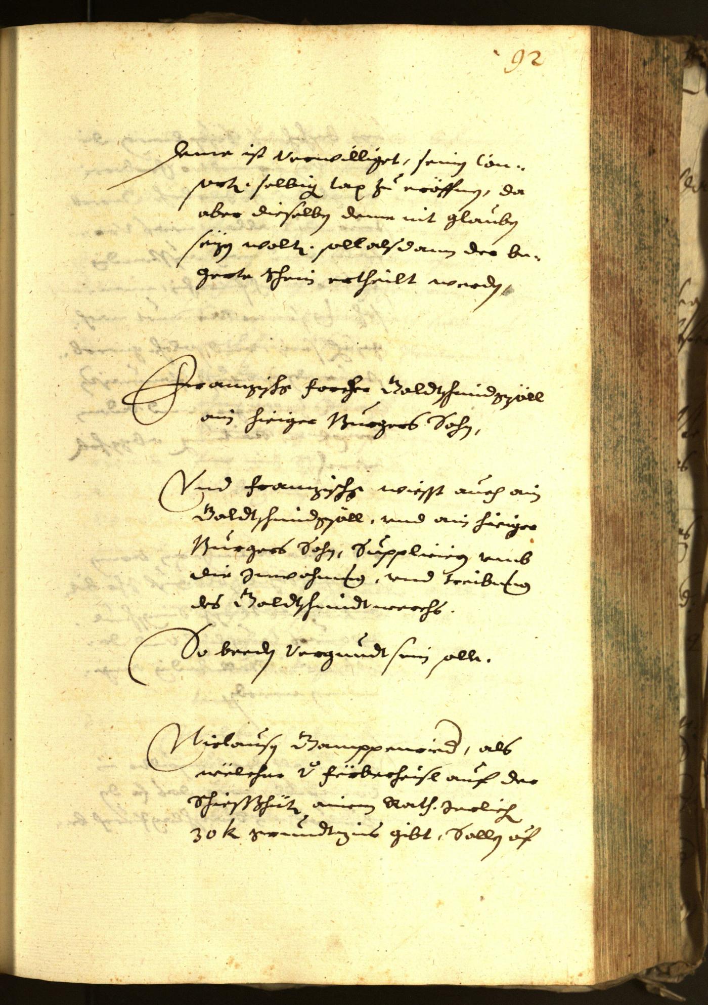 Civic Archives of Bozen-Bolzano - BOhisto Minutes of the council 1647 