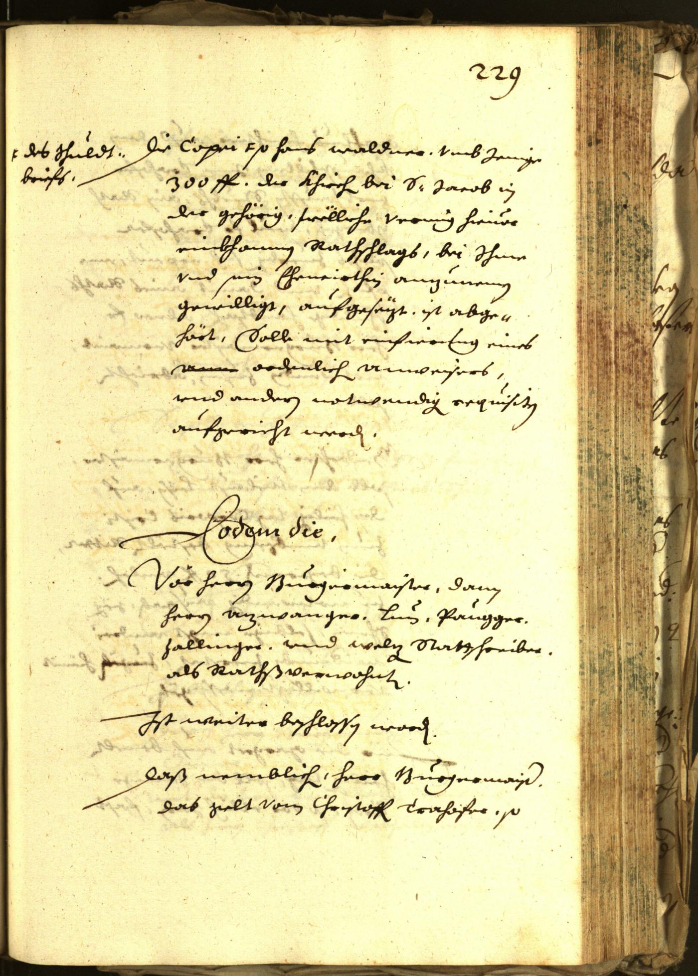 Civic Archives of Bozen-Bolzano - BOhisto Minutes of the council 1648 