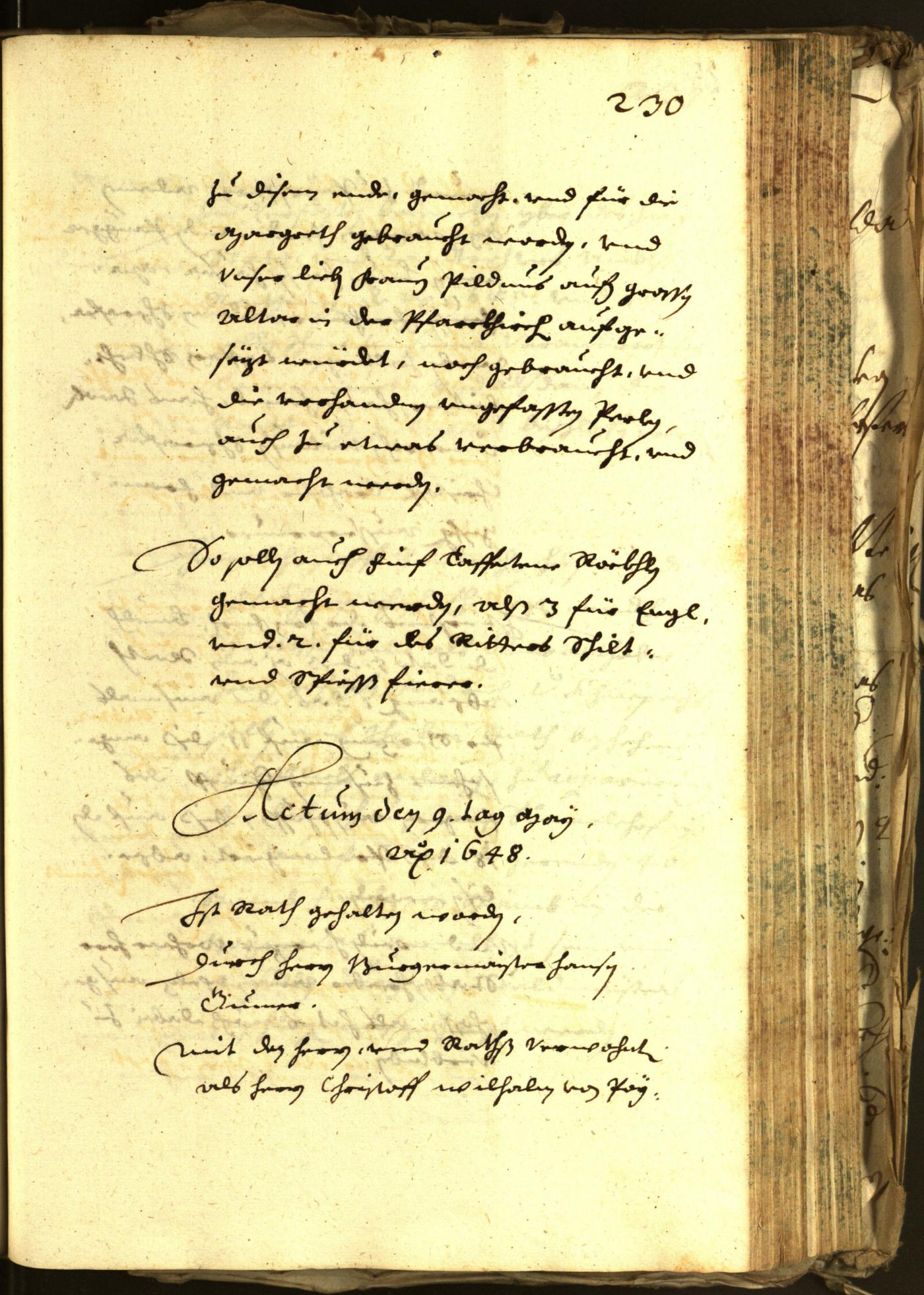 Stadtarchiv Bozen - BOhisto Ratsprotokoll 1648 