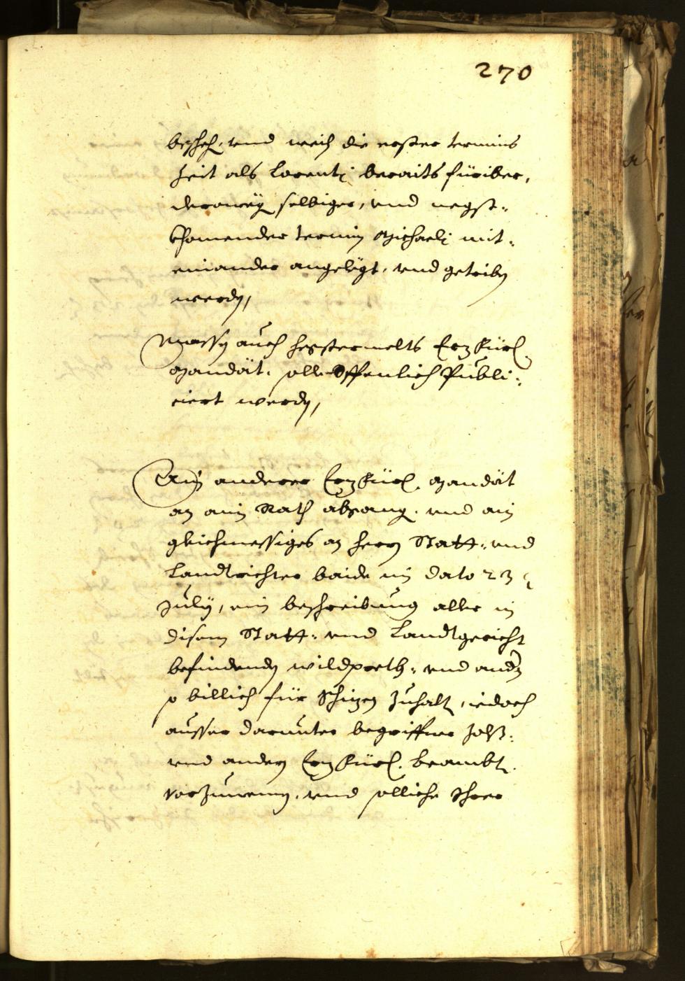 Stadtarchiv Bozen - BOhisto Ratsprotokoll 1648 