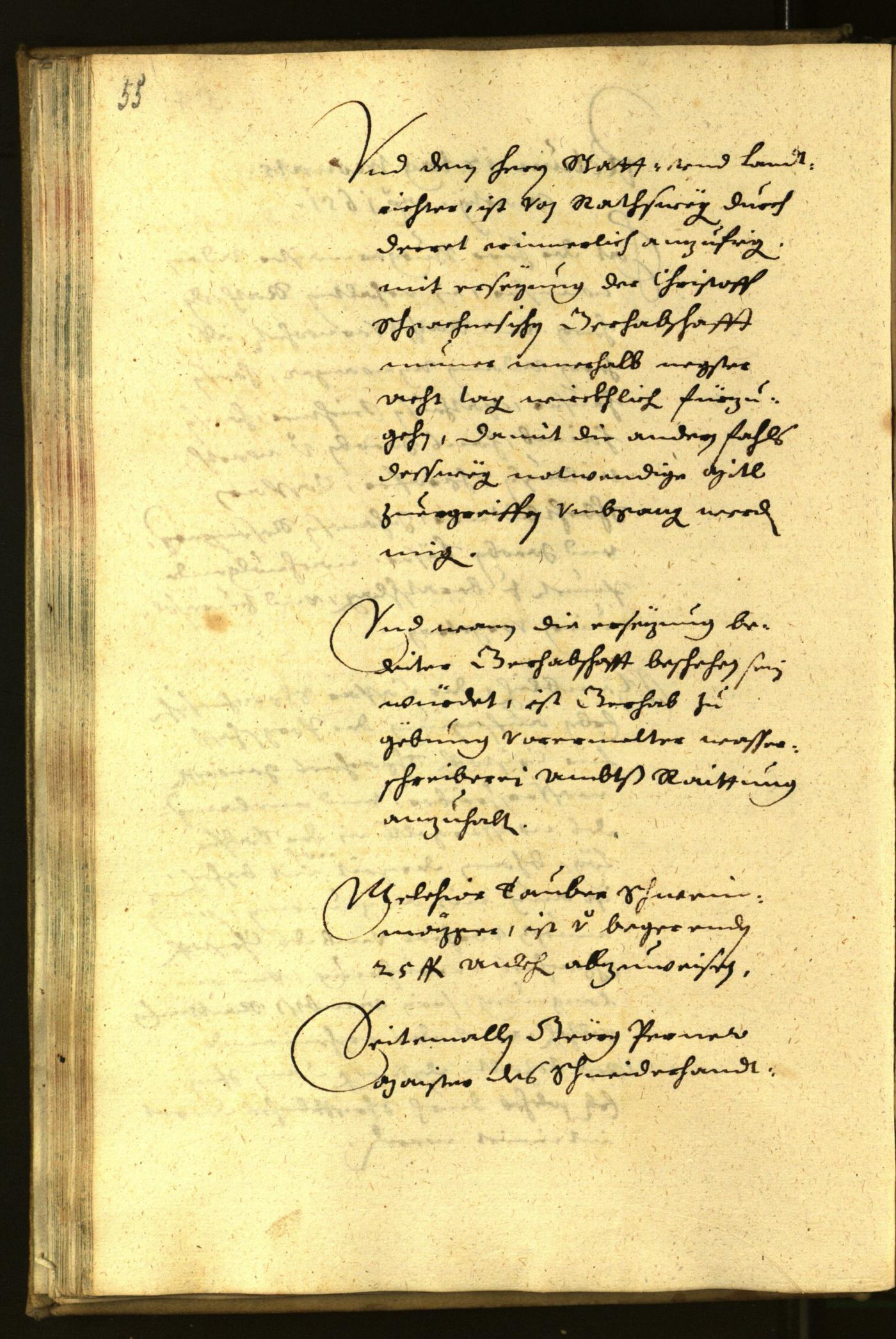 Civic Archives of Bozen-Bolzano - BOhisto Minutes of the council 1651 