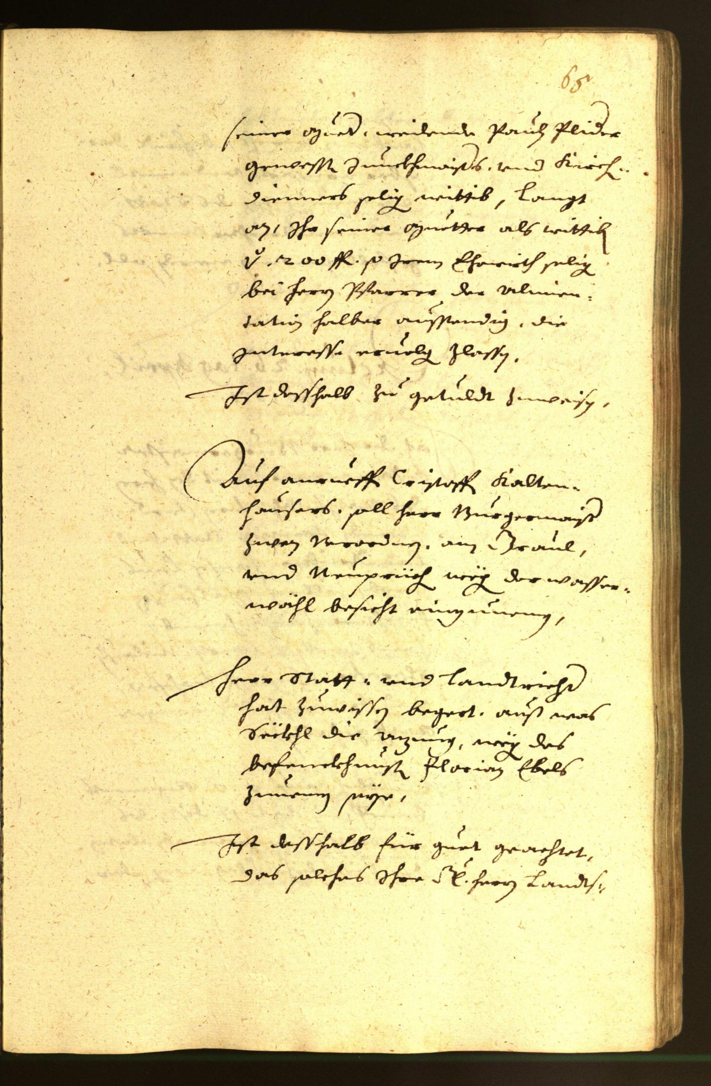 Civic Archives of Bozen-Bolzano - BOhisto Minutes of the council 1651 