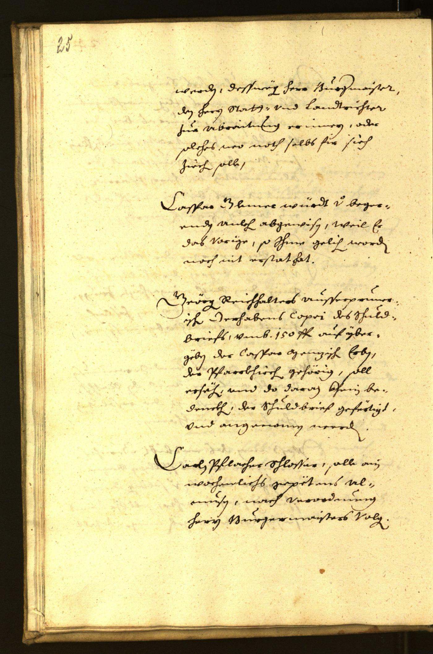 Civic Archives of Bozen-Bolzano - BOhisto Minutes of the council 1651 