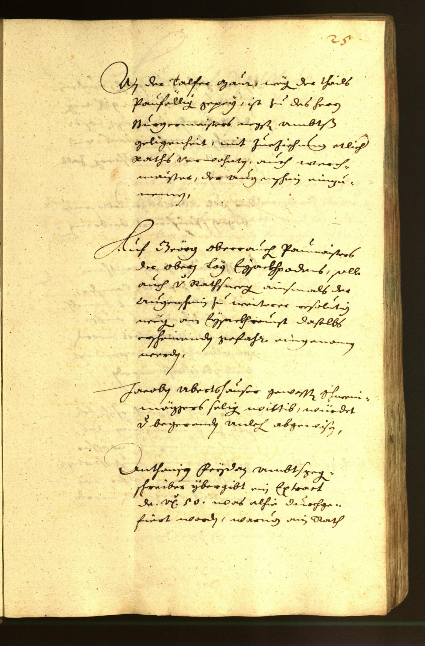 Stadtarchiv Bozen - BOhisto Ratsprotokoll 1651 