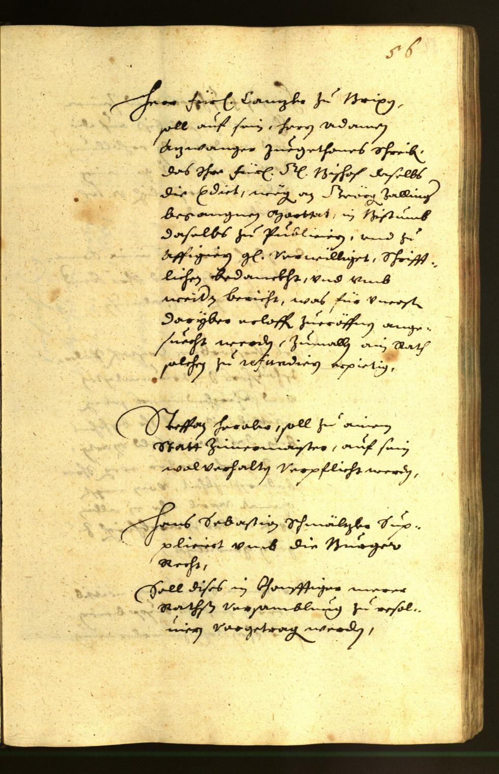 Stadtarchiv Bozen - BOhisto Ratsprotokoll 1651 