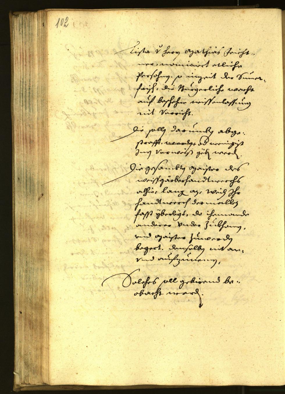 Civic Archives of Bozen-Bolzano - BOhisto Minutes of the council 1651 