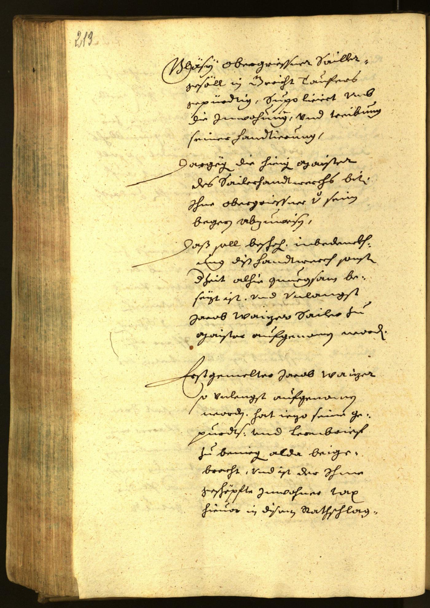 Civic Archives of Bozen-Bolzano - BOhisto Minutes of the council 1652 