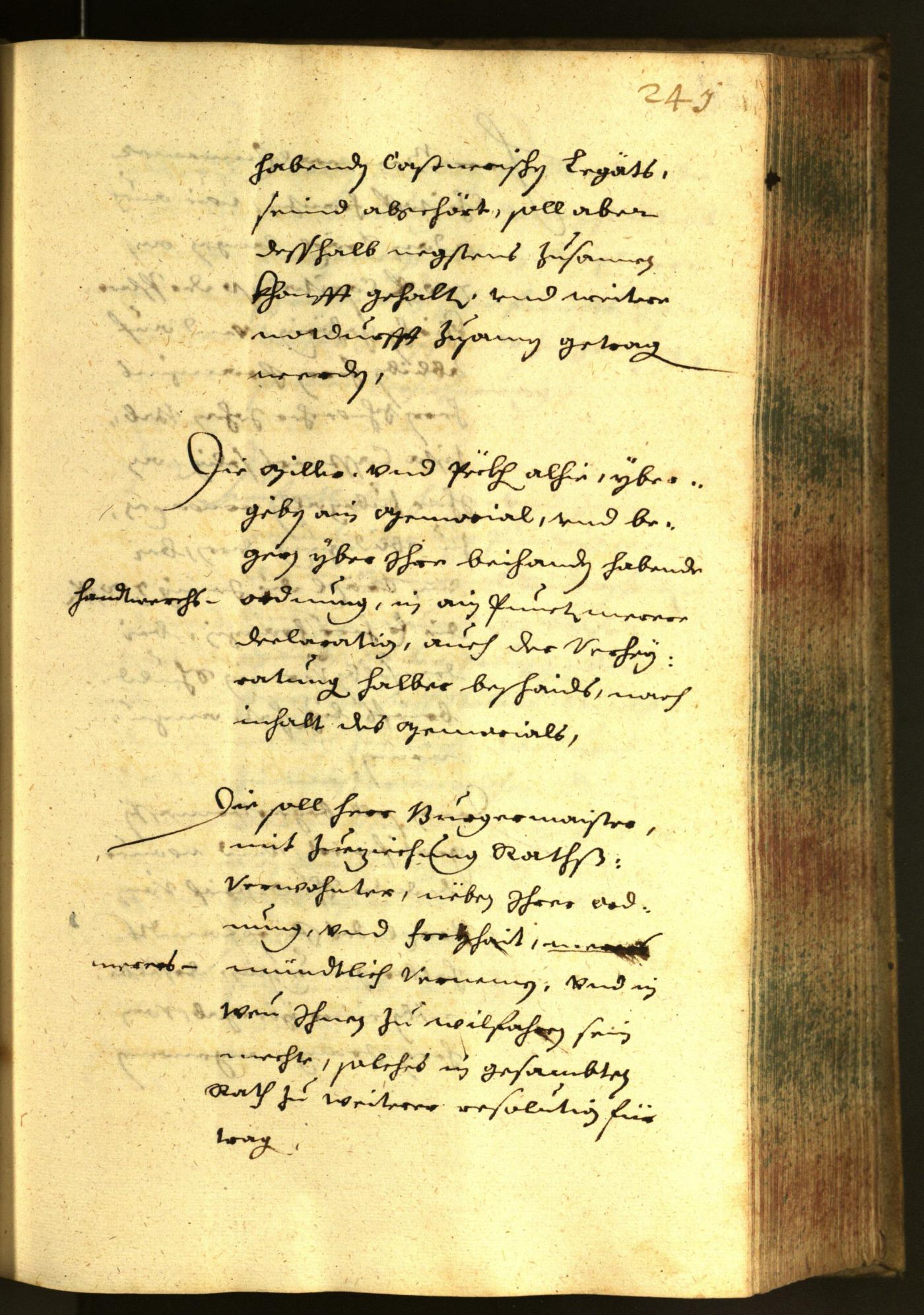 Stadtarchiv Bozen - BOhisto Ratsprotokoll 1652 