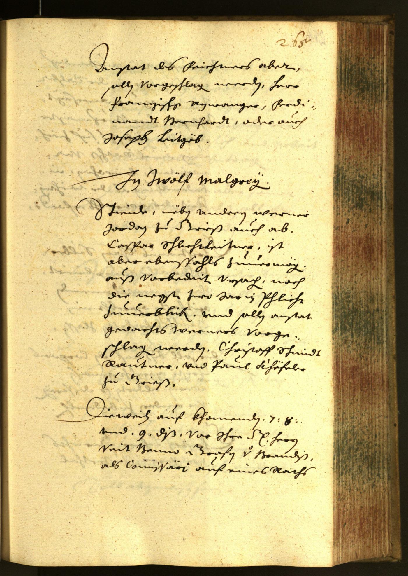 Civic Archives of Bozen-Bolzano - BOhisto Minutes of the council 1652 