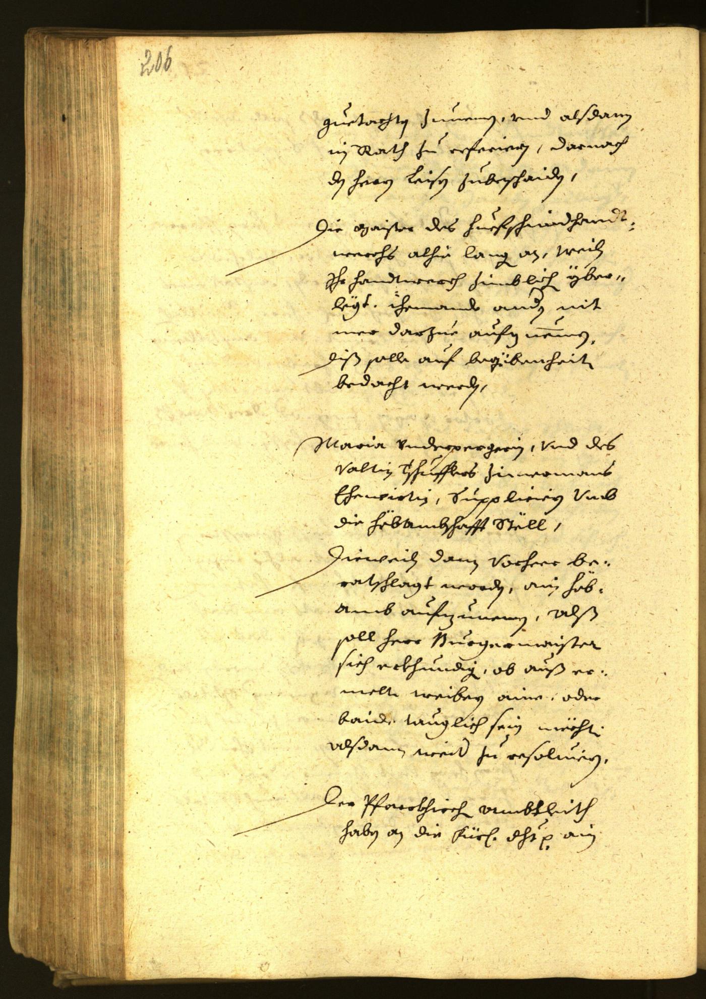 Stadtarchiv Bozen - BOhisto Ratsprotokoll 1652 