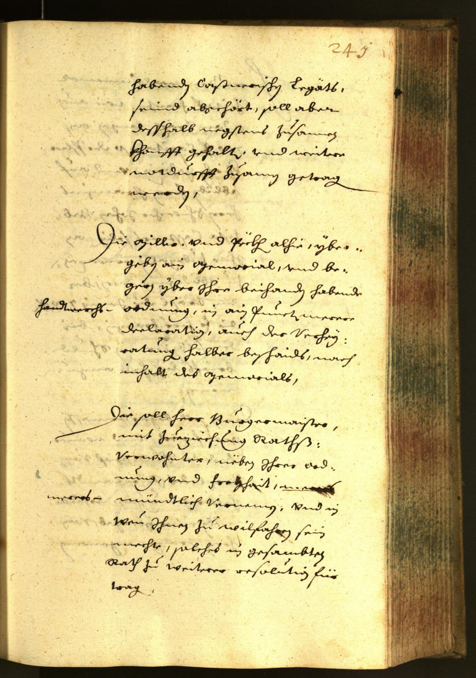 Civic Archives of Bozen-Bolzano - BOhisto Minutes of the council 1652 