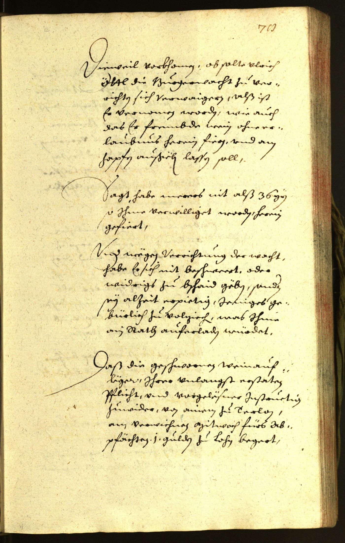 Stadtarchiv Bozen - BOhisto Ratsprotokoll 1653 