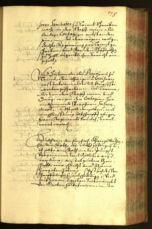 Civic Archives of Bozen-Bolzano - BOhisto Minutes of the council 1655 