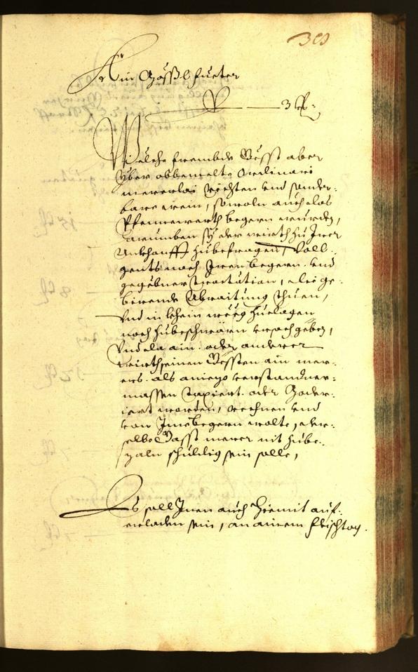 Stadtarchiv Bozen - BOhisto Ratsprotokoll 1655 