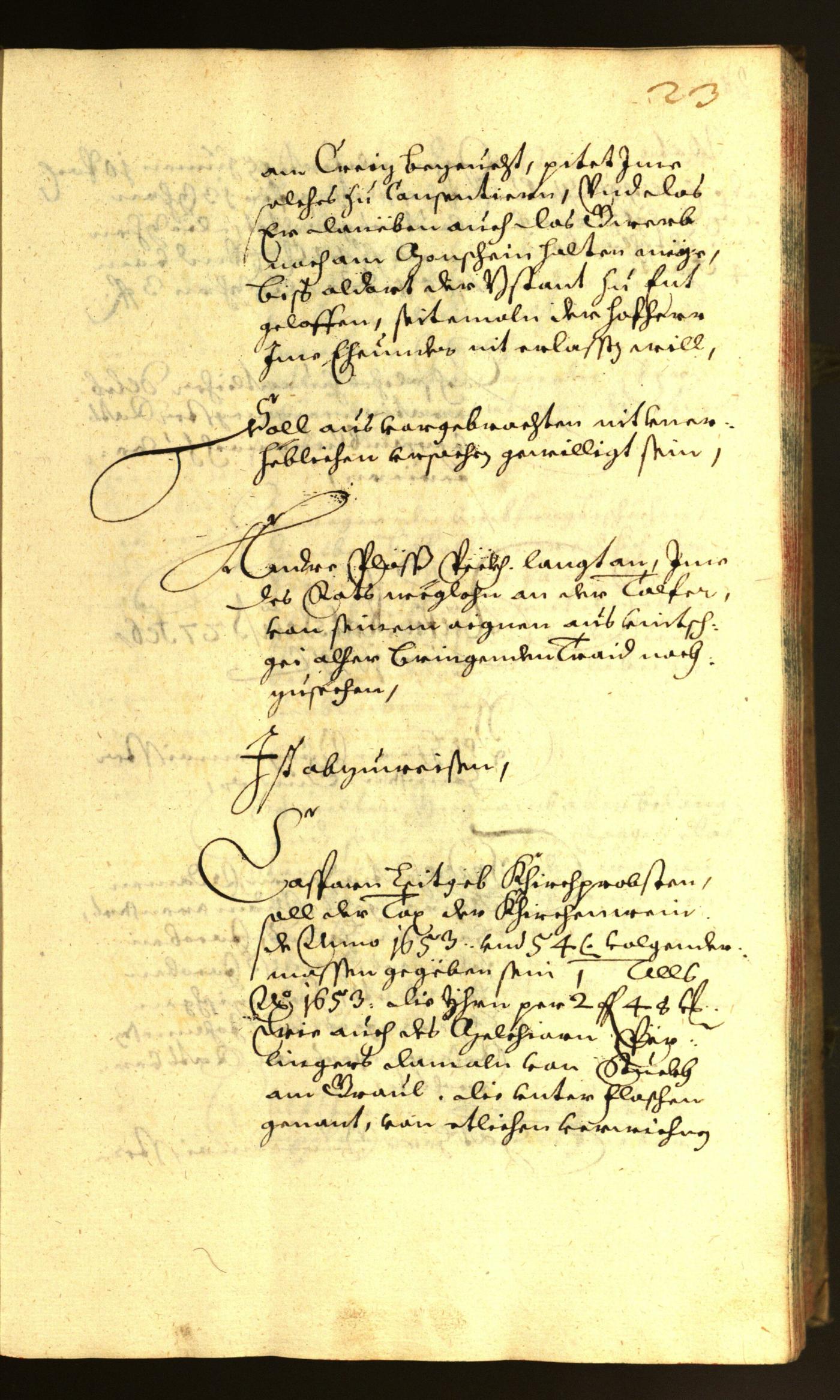 Archivio Storico della Città di Bolzano - BOhisto protocollo consiliare 1655 