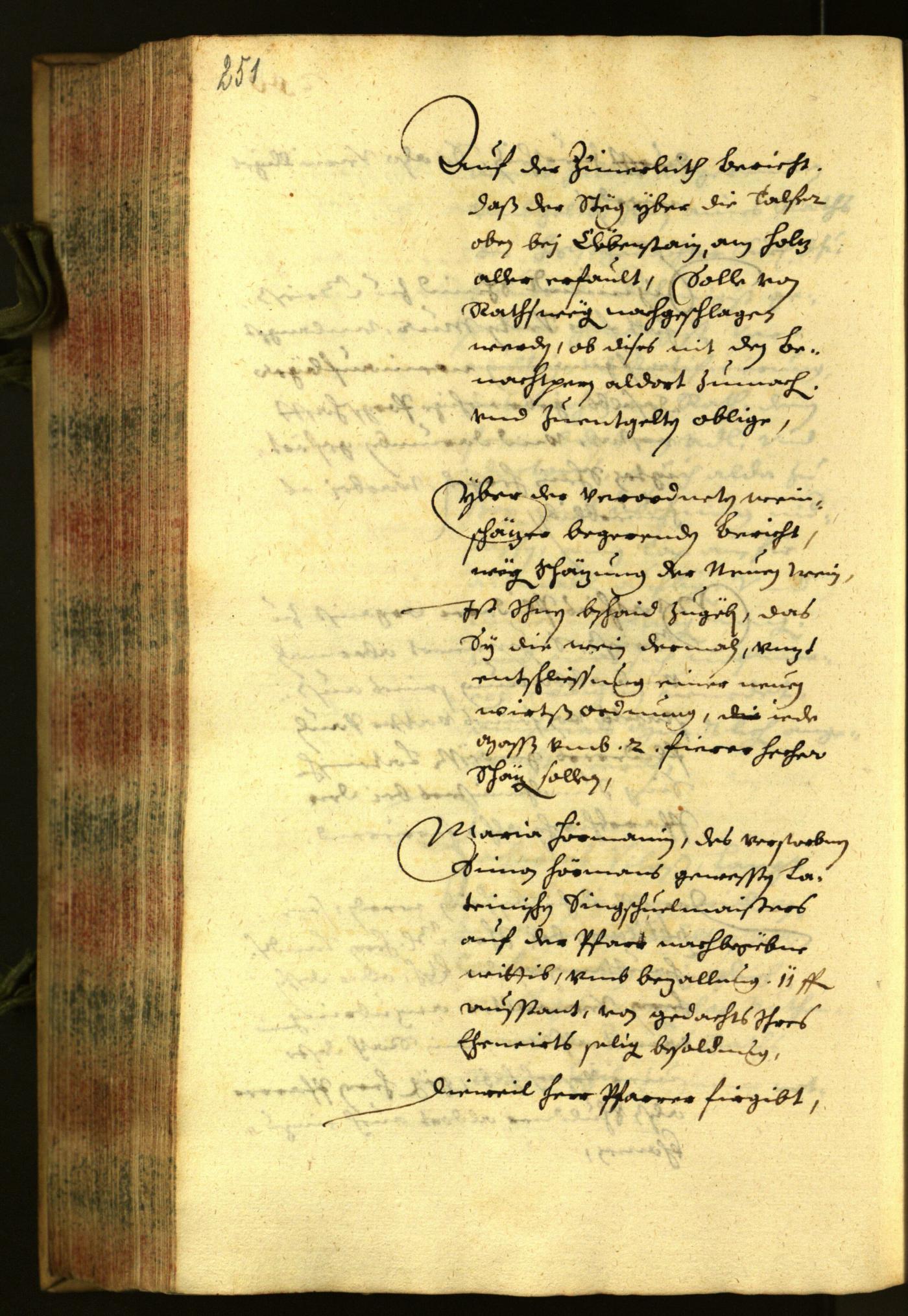 Civic Archives of Bozen-Bolzano - BOhisto Minutes of the council 1656 