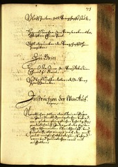 Civic Archives of Bozen-Bolzano - BOhisto Minutes of the council 1661 - 