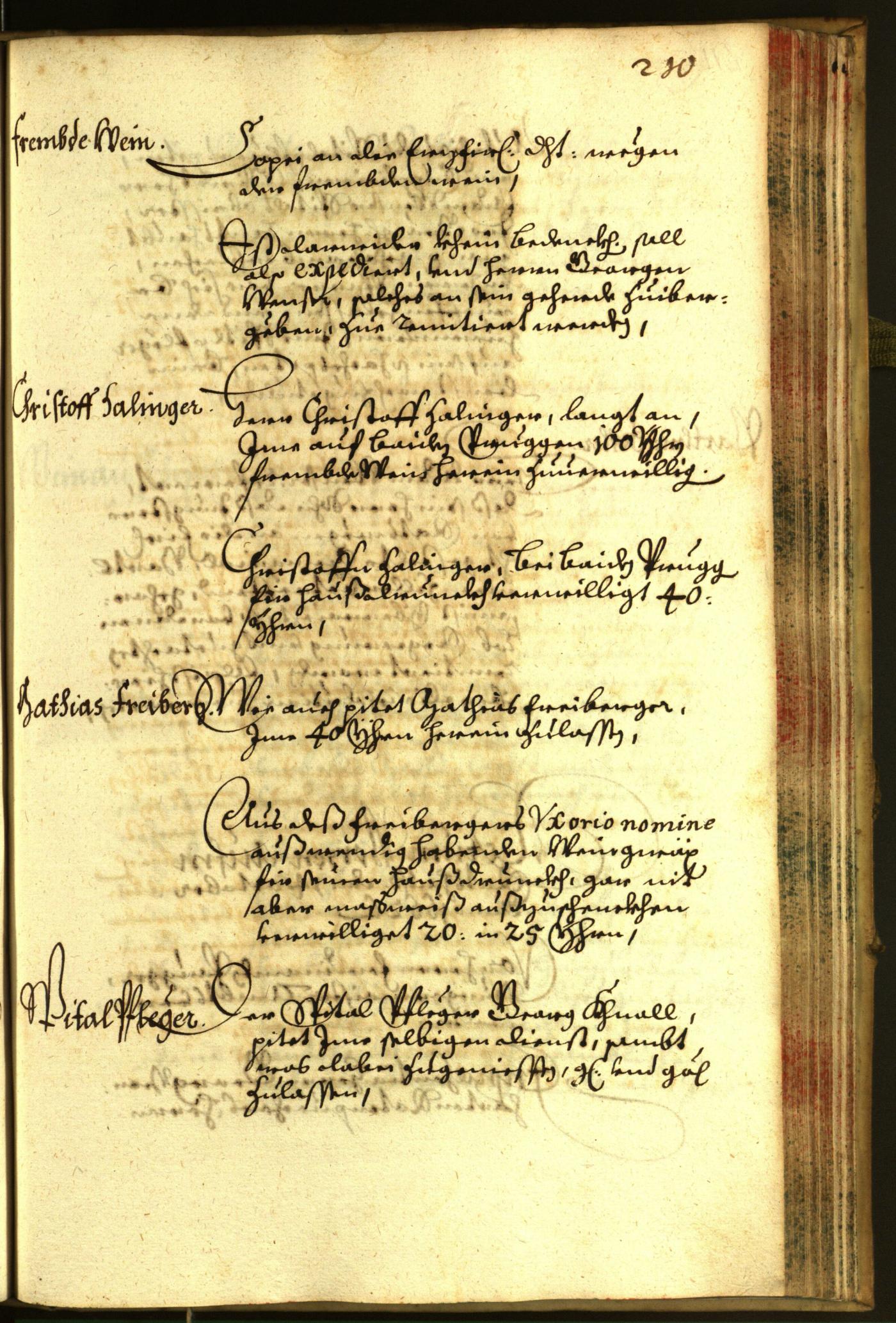 Civic Archives of Bozen-Bolzano - BOhisto Minutes of the council 1662 