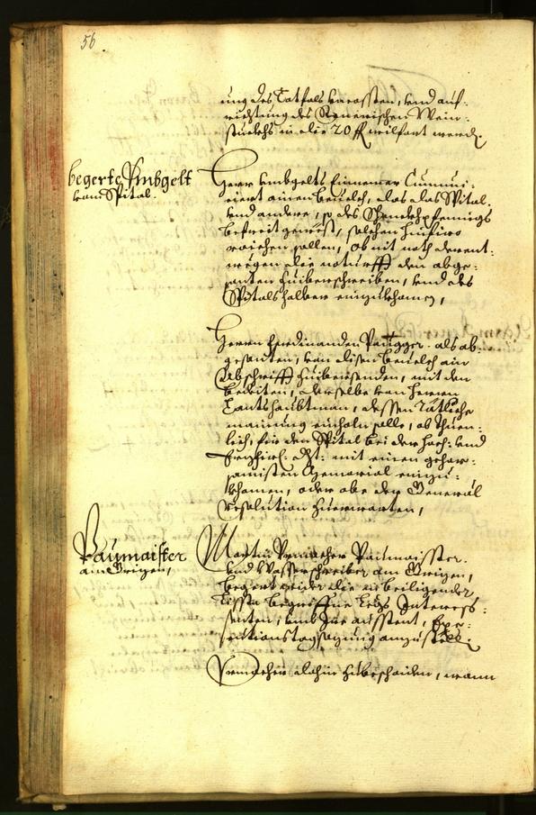 Stadtarchiv Bozen - BOhisto Ratsprotokoll 1663 