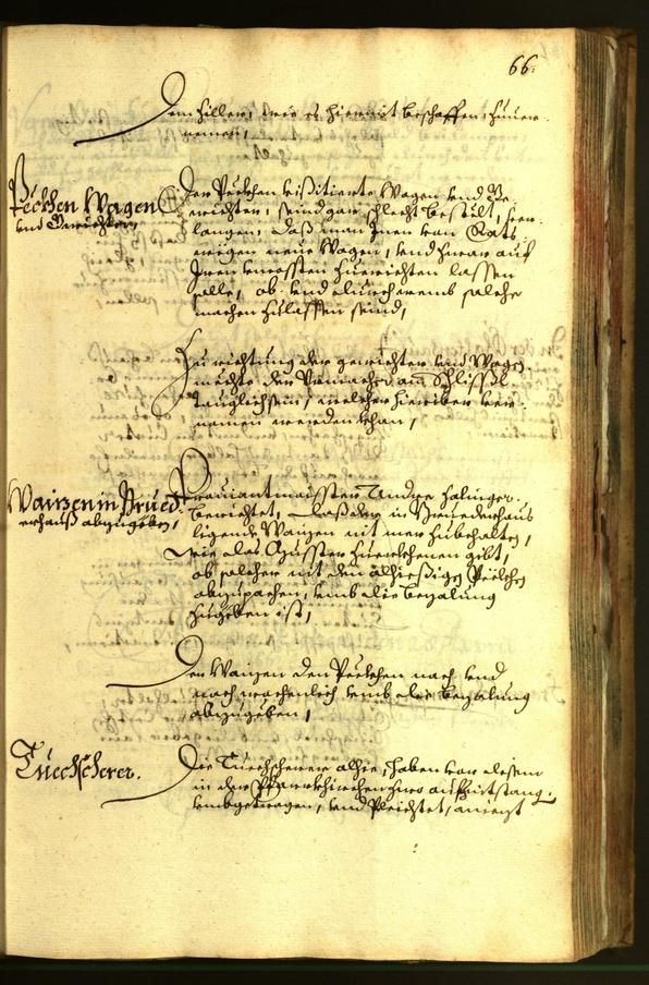 Stadtarchiv Bozen - BOhisto Ratsprotokoll 1663 