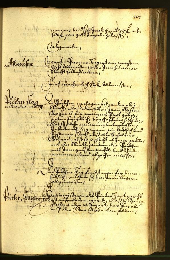 Stadtarchiv Bozen - BOhisto Ratsprotokoll 1663 