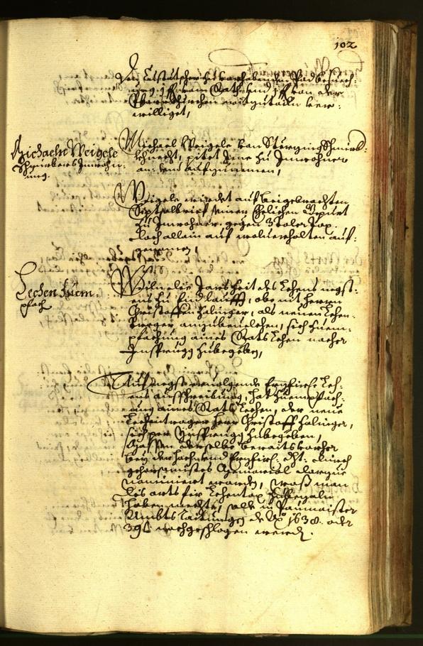 Civic Archives of Bozen-Bolzano - BOhisto Minutes of the council 1663 