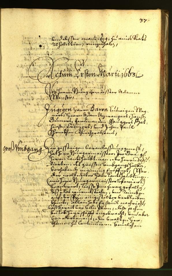 Civic Archives of Bozen-Bolzano - BOhisto Minutes of the council 1663 