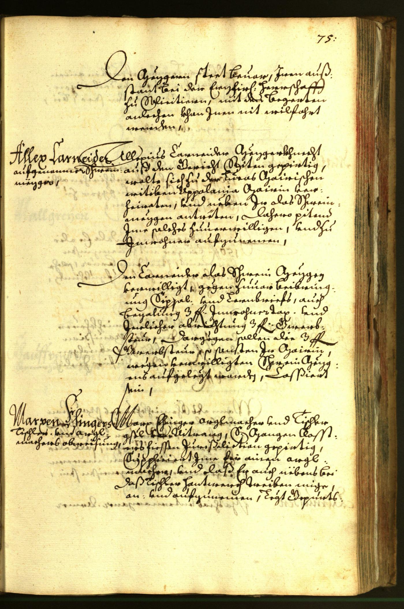 Stadtarchiv Bozen - BOhisto Ratsprotokoll 1663 