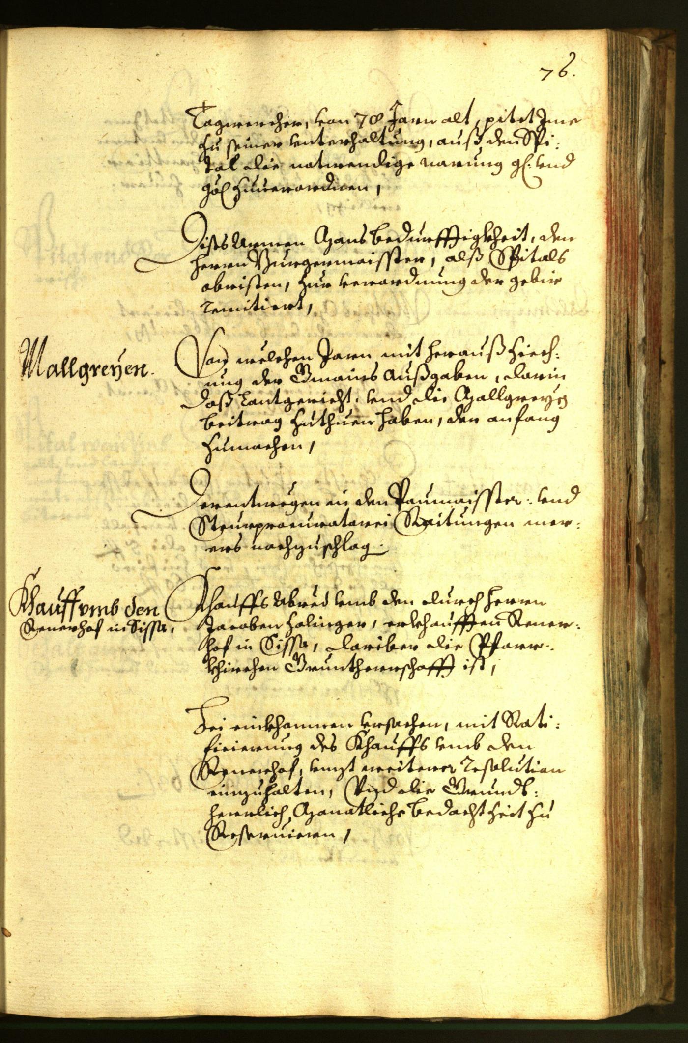 Stadtarchiv Bozen - BOhisto Ratsprotokoll 1663 