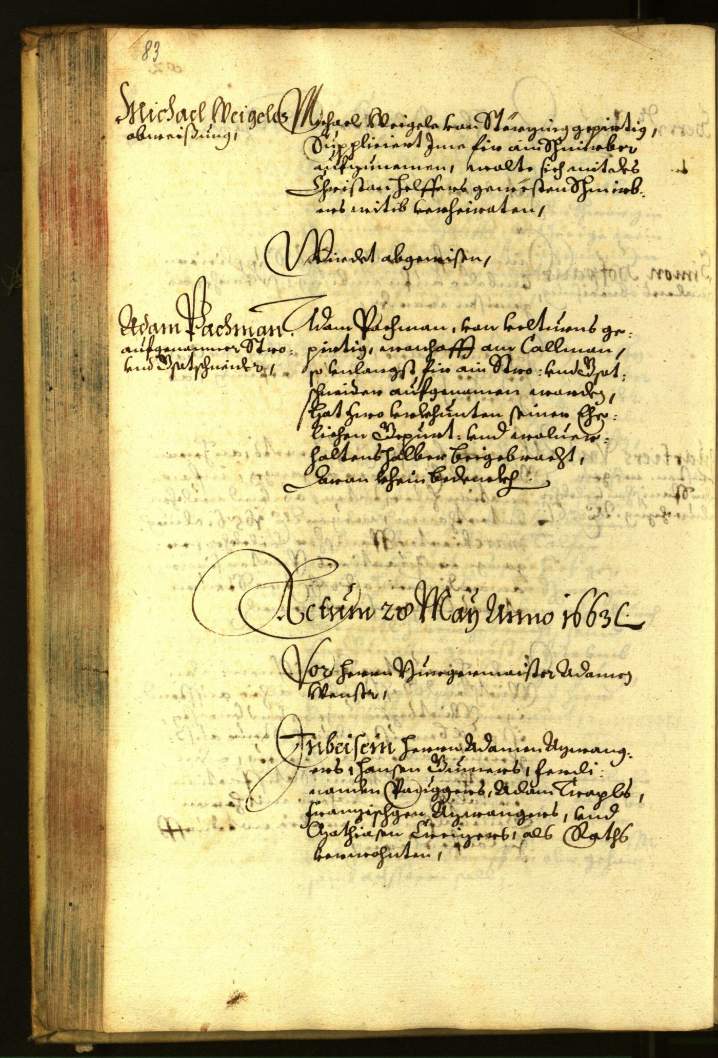 Archivio Storico della Città di Bolzano - BOhisto protocollo consiliare 1663 