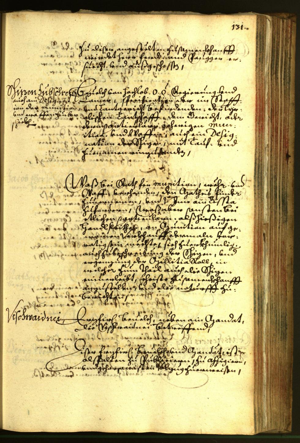 Stadtarchiv Bozen - BOhisto Ratsprotokoll 1663 