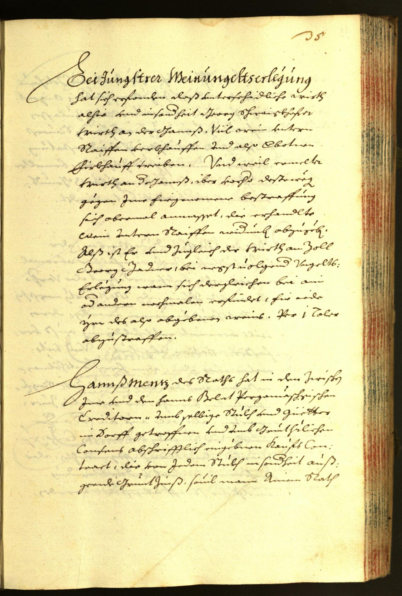 Civic Archives of Bozen-Bolzano - BOhisto Minutes of the council 1667 