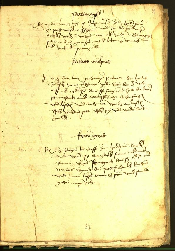 Civic Archives of Bozen-Bolzano - BOhisto Minutes of the council 1482 