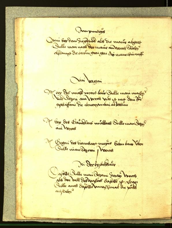 Civic Archives of Bozen-Bolzano - BOhisto Minutes of the council 1486 