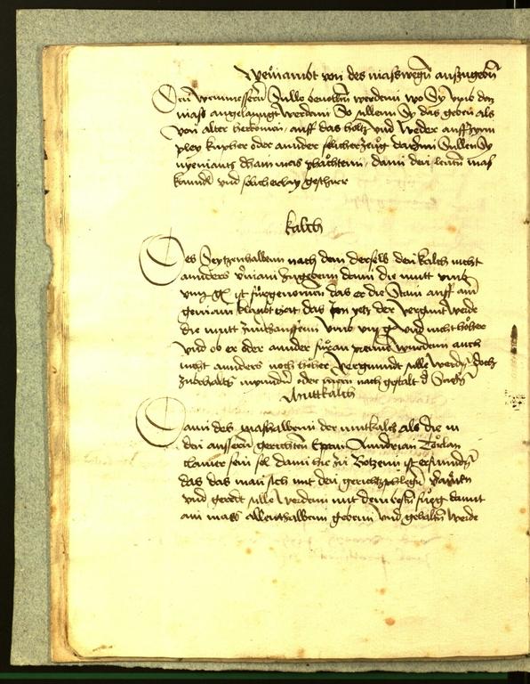 Stadtarchiv Bozen - BOhisto Ratsprotokoll 1486 