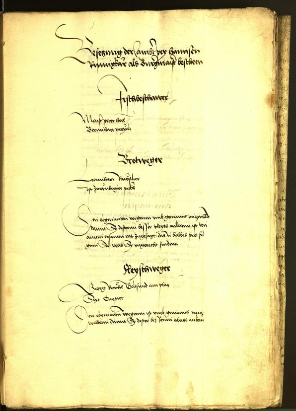 Civic Archives of Bozen-Bolzano - BOhisto Minutes of the council 1492 