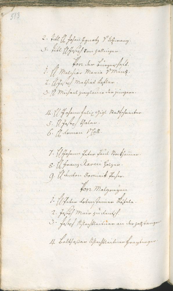 Civic Archives of Bozen-Bolzano - BOhisto Ratsprotokoll 1774/77 