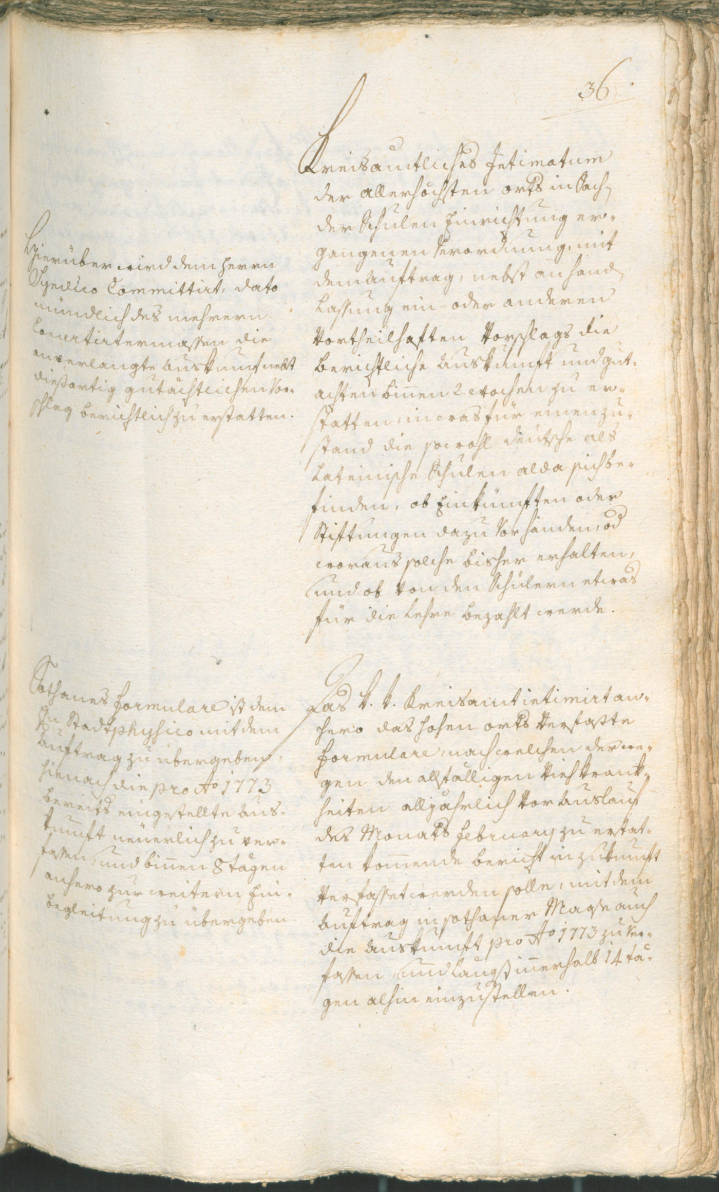 Civic Archives of Bozen-Bolzano - BOhisto Ratsprotokoll 1774/77 