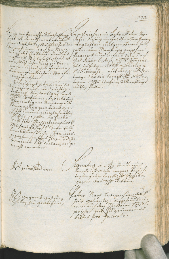 Civic Archives of Bozen-Bolzano - BOhisto Ratsprotokoll 1777/80 