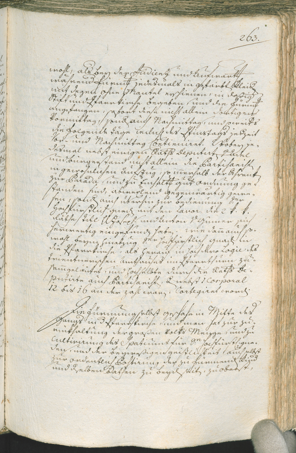 Civic Archives of Bozen-Bolzano - BOhisto Ratsprotokoll 1777/80 