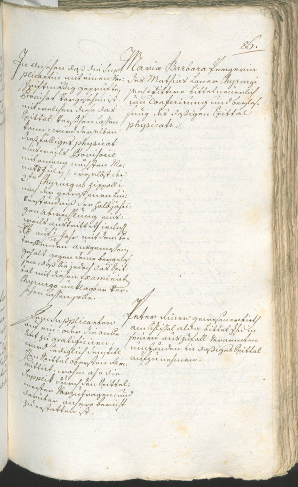 Civic Archives of Bozen-Bolzano - BOhisto Ratsprotokoll 1780/83 