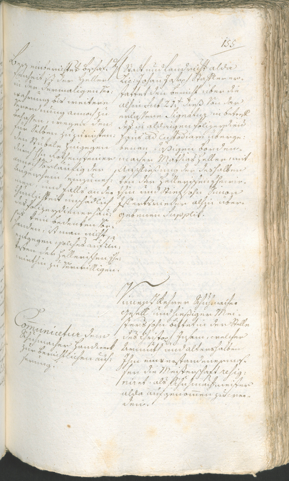 Civic Archives of Bozen-Bolzano - BOhisto Ratsprotokoll 1780/83 