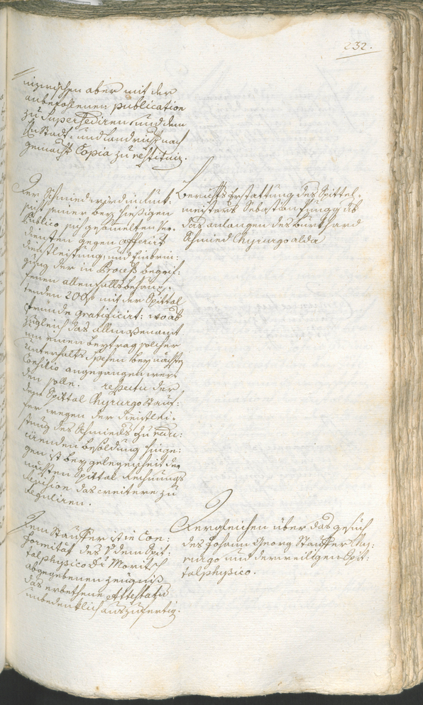 Civic Archives of Bozen-Bolzano - BOhisto Ratsprotokoll 1780/83 